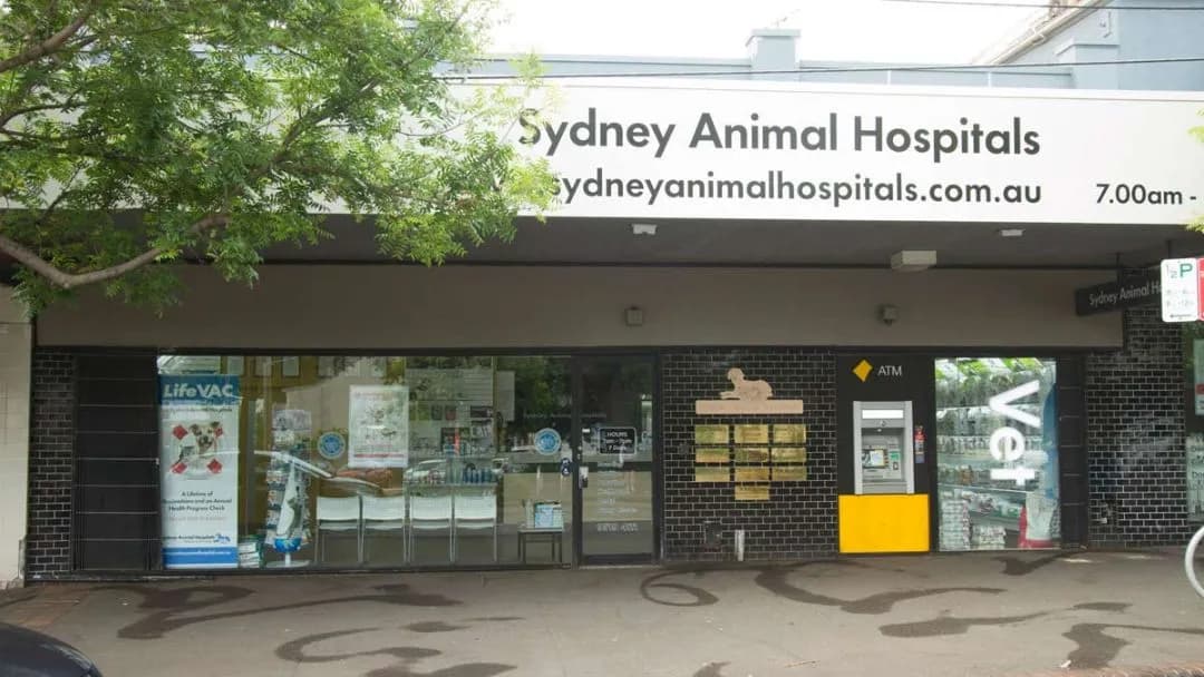 Sydney Animal Hospital Newtown