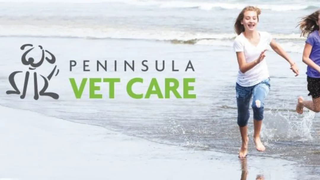 Peninsula Vet Care Rye Beach
